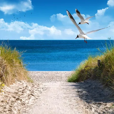 Vital 4 Inklusive Waeschepaket Und Urlaubsschutz 펜션 Großenbrode